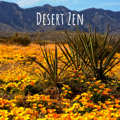 Desert Zen Cover Art Blurred Background