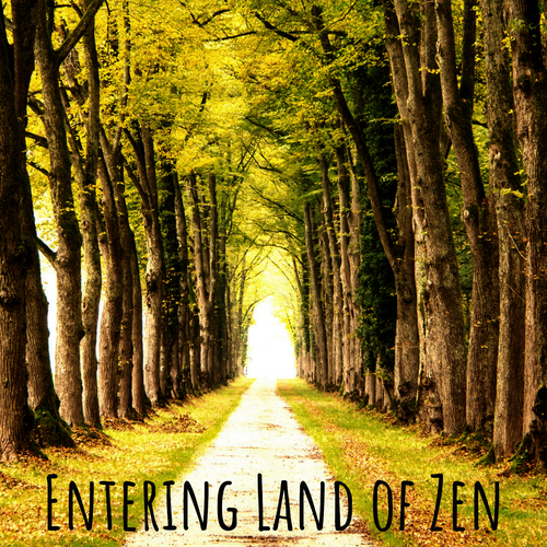 Entering Land of Zen Cover Art Blurred Background