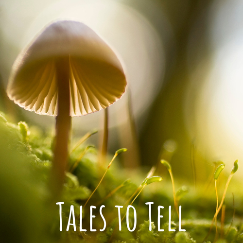 Tales to Tell Cover Art Blurred Background