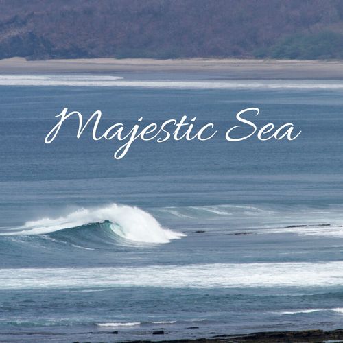 Majestic Sea Cover Art Blurred Background