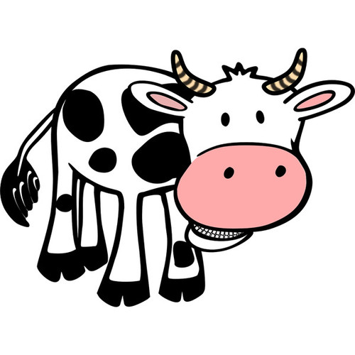 Cows Mooing Cover Art Blurred Background