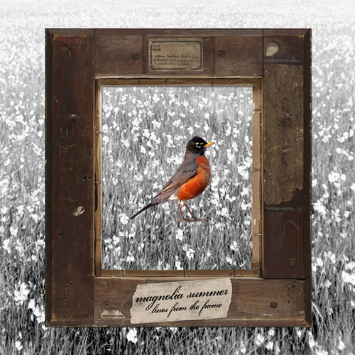 Lines From The Frame Cover Art Blurred Background