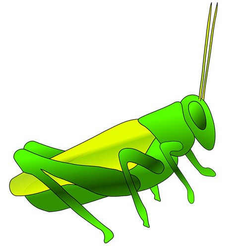 Cricket Cover Art Blurred Background