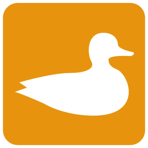 Ducks Cover Art Blurred Background