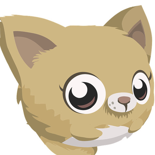 Cat Meow Cover Art Blurred Background