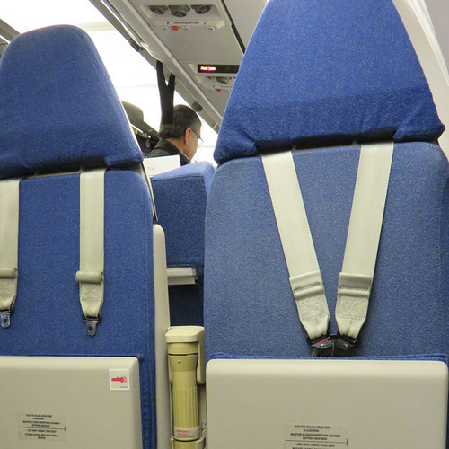 Airplane Ding (Seat Belt) Cover Art Blurred Background