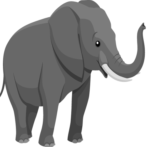Elephant Cover Art Blurred Background