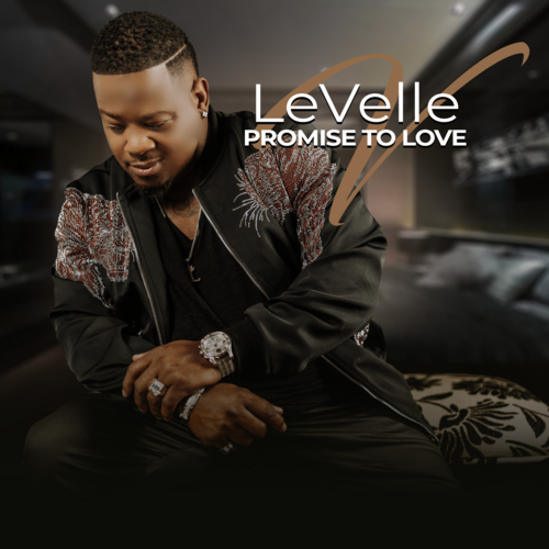 Promise to Love Cover Art Blurred Background