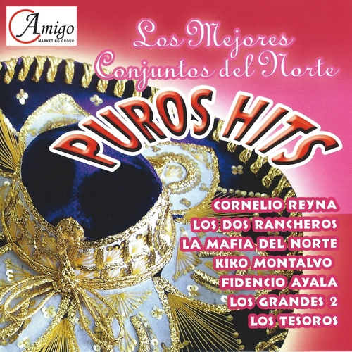 Puros Hits Cover Art Blurred Background