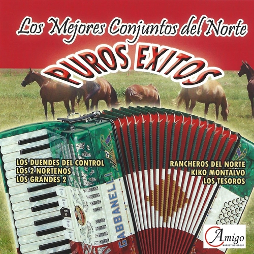 Los Mejores Conjuntos del Norte (Puros Exitos) Cover Art Blurred Background