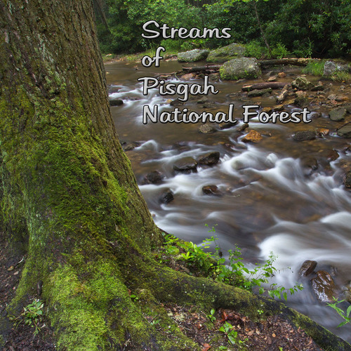 Streams of Pisgah National Forest Cover Art Blurred Background