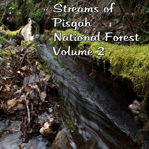 Streams of Pisgah National Forest, Vol. 2 Cover Art Blurred Background