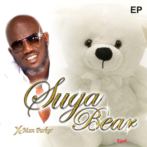 Suga Bear Cover Art Blurred Background