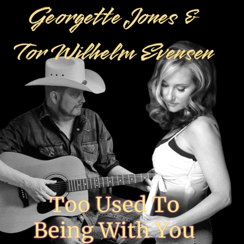 Too Used to Being with You Cover Art Blurred Background