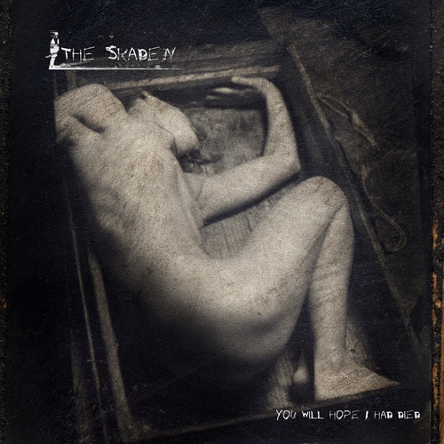 You Will Hope I Had Died Cover Art Blurred Background