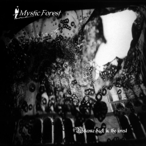 Welcome Back In The Forest Cover Art Blurred Background