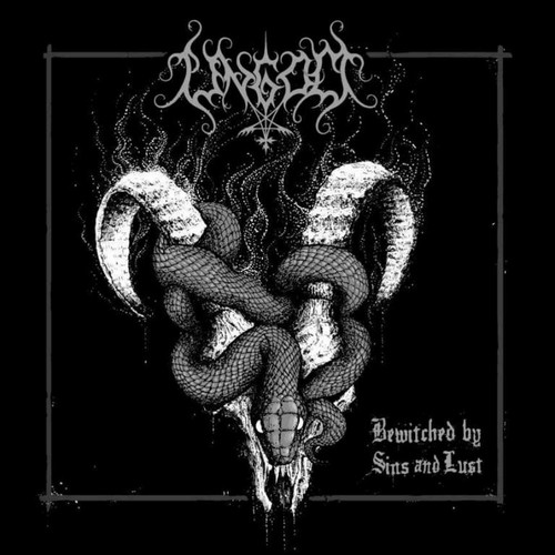 Bewitched by Sins and Lust Cover Art Blurred Background