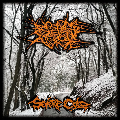 Severe Cold Cover Art Blurred Background
