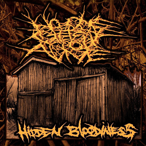 Hidden Bloodiness Cover Art Blurred Background