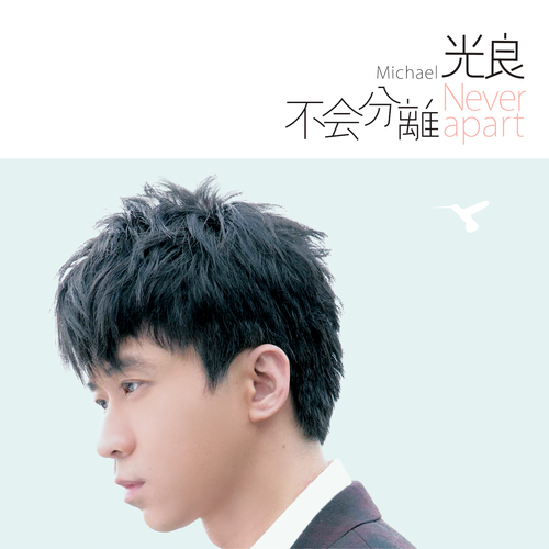 不會分離 Cover Art Blurred Background