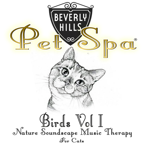 Birds, Vol. 1: Nature Soundscape Music Therapy for Cats Cover Art Blurred Background