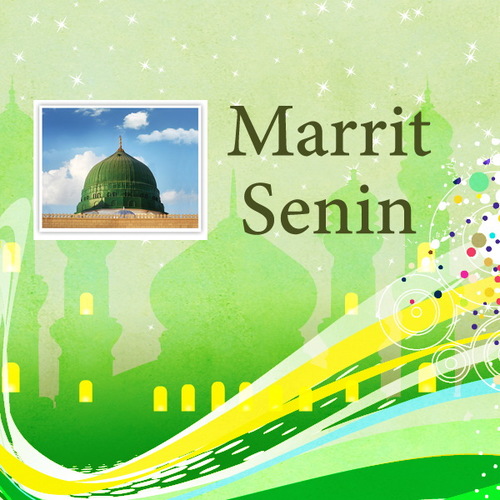 Marrit Senin Cover Art Blurred Background