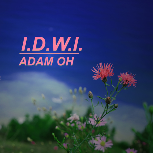I.D.W.I. Cover Art Blurred Background