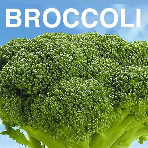 Broccoli (Instrumental) [Cover] Cover Art Blurred Background