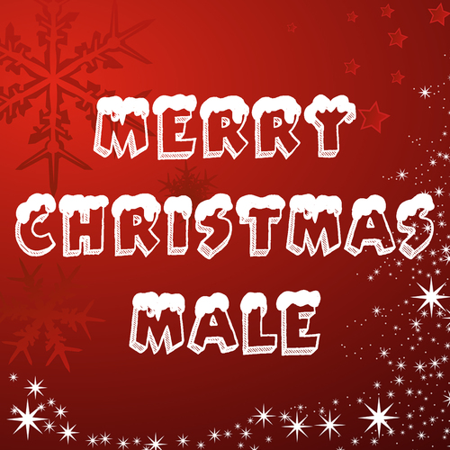 Merry Christmas Male Cover Art Blurred Background