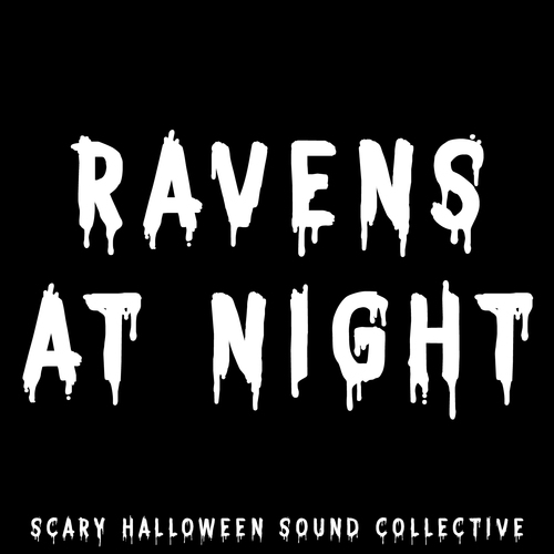 Ravens at Night Cover Art Blurred Background