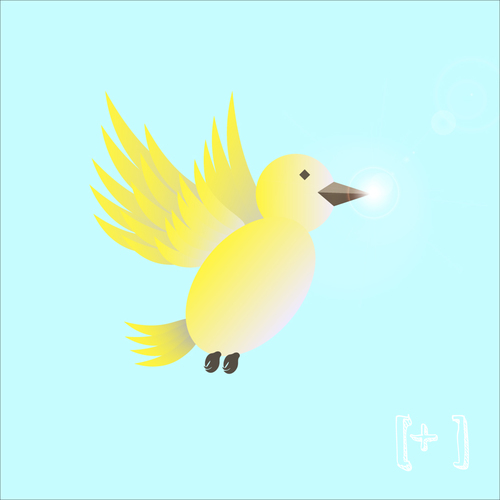 Notification Bird Cover Art Blurred Background
