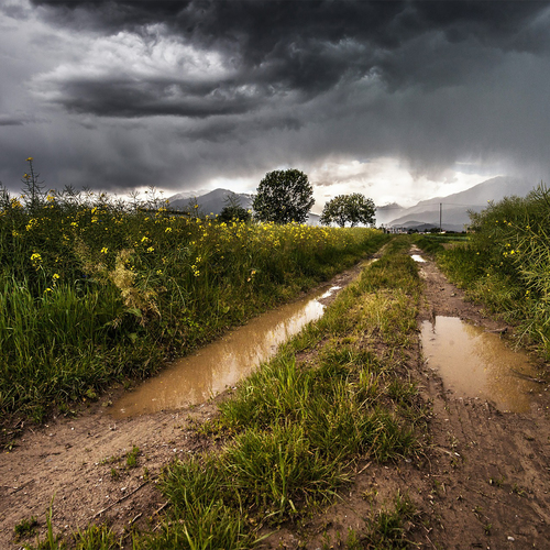 Rain in the Country Cover Art Blurred Background