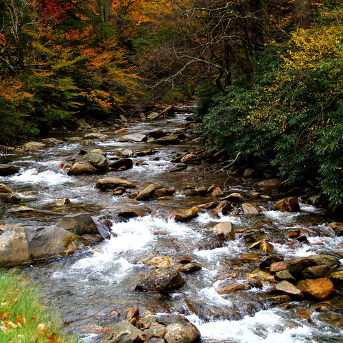 River Brook Babbling Cover Art Blurred Background