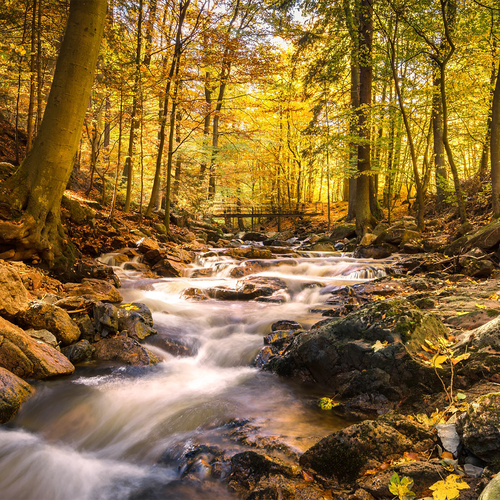 River Brook Light Water Flow Cover Art Blurred Background