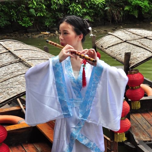 Chinese Flute Cover Art Blurred Background