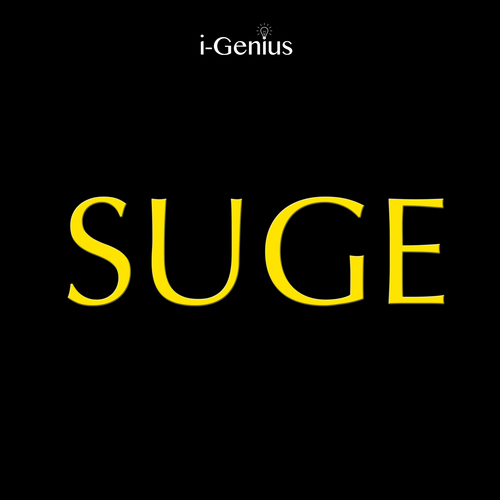 Suge (Instrumental Cover) Cover Art Blurred Background