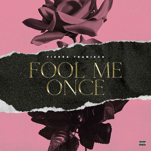 Fool Me Once Cover Art Blurred Background