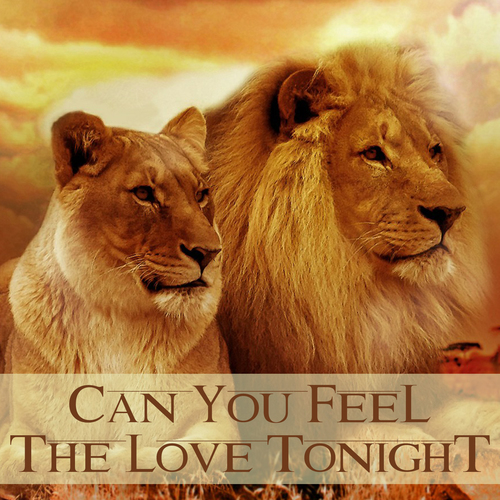Can You Feel the Love Tonight (Marimba Cover) Cover Art Blurred Background