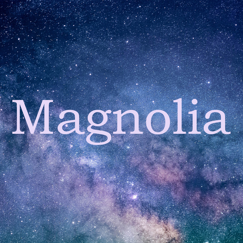 Magnolia (Instrumental Cover) Cover Art Blurred Background
