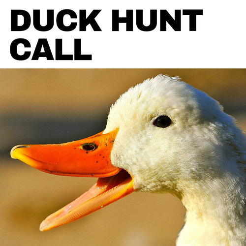 Duck Hunt Call Notification Cover Art Blurred Background