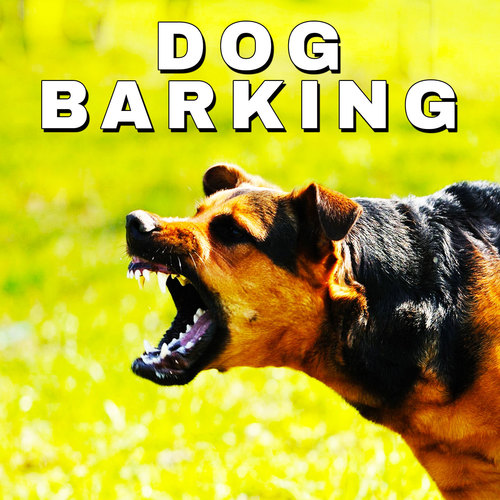 Dog Barking Cover Art Blurred Background