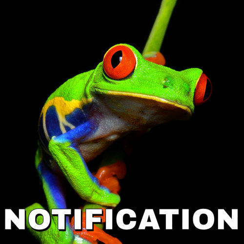 Frog Notification Cover Art Blurred Background