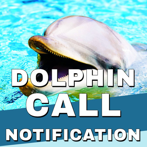 Dolphin Call Notification Cover Art Blurred Background