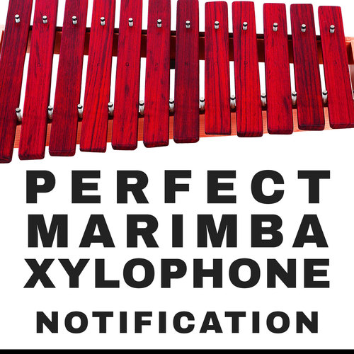 Perfect Xylophone Marimba Notification Cover Art Blurred Background