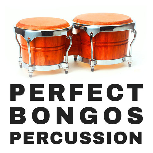 Perfect Bongos Percussion Cover Art Blurred Background