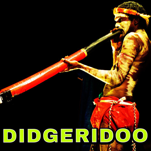 Didgeridoo Cover Art Blurred Background