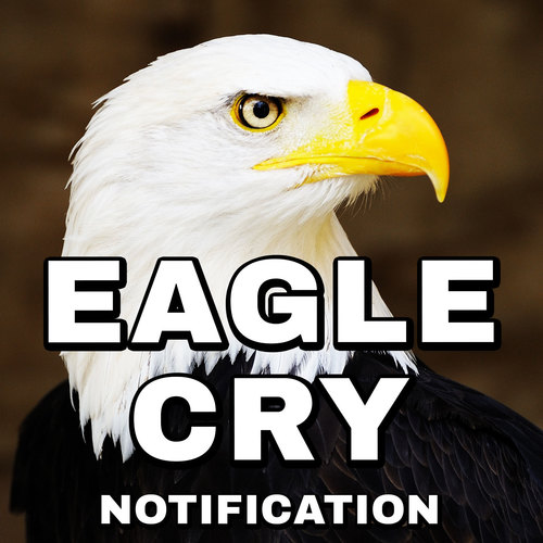 Eagle Cry (Notification) Cover Art Blurred Background