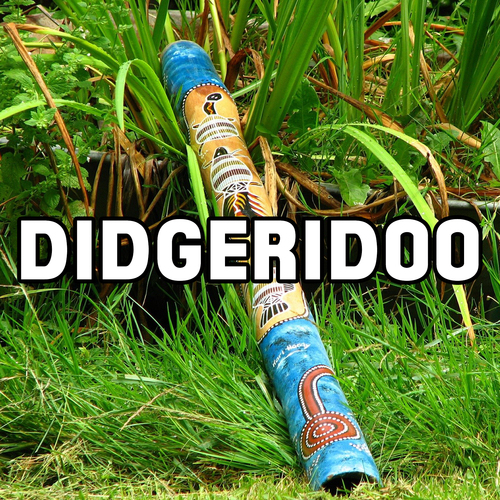 Didgeridoo Hum Cover Art Blurred Background