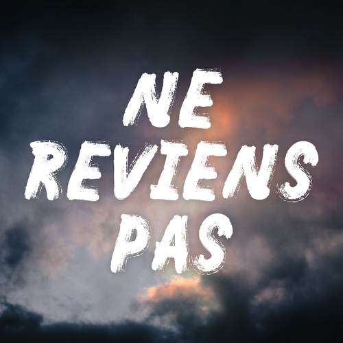 Ne Reviens Pas (Marimba Remix) [Cover] Cover Art Blurred Background