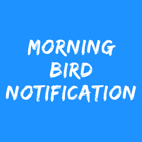 Morning Bird Notification Cover Art Blurred Background